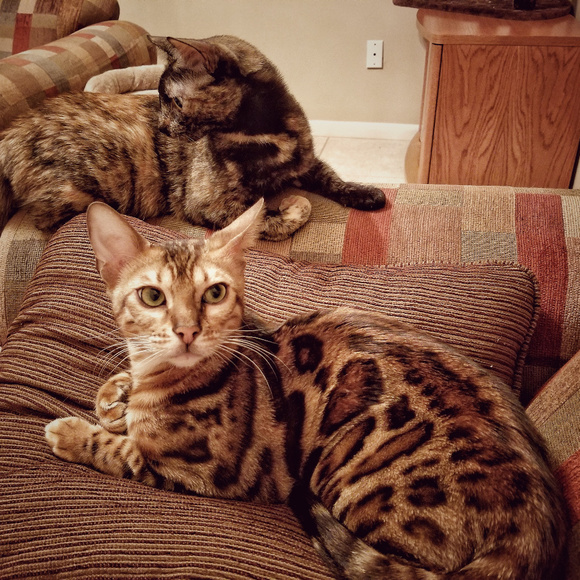 Meet your Posher Catherine! - Picture 4 of 5